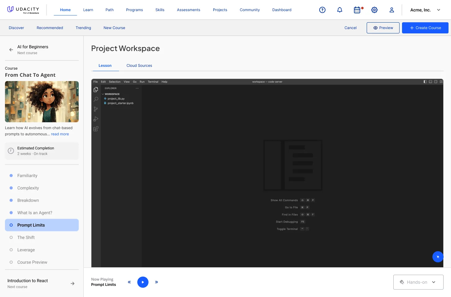 A project workspace embedded in the lesson